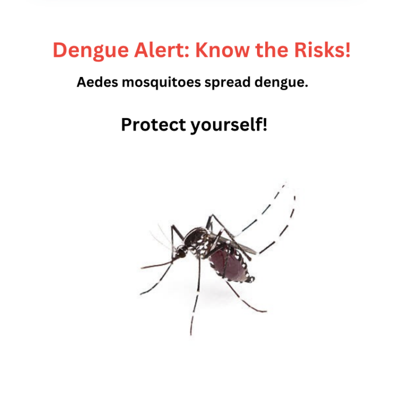 Dengue: What I should know?